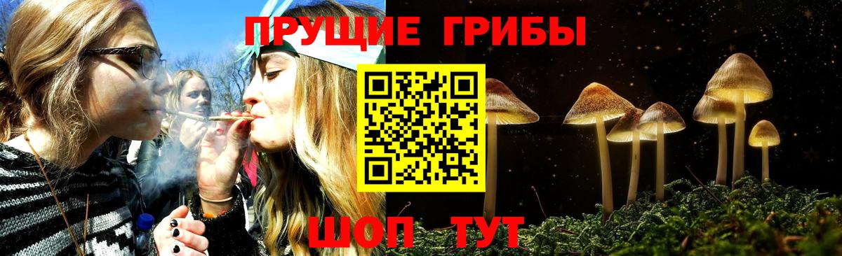 Галлюциногенные грибы прущие грибы Чехов